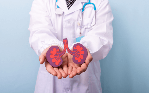 doctor holds artistic rendering of lungs